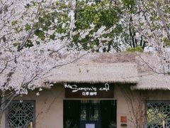 -高东镇樱花园