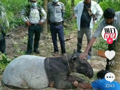 -约翰·菲茨杰拉德·肯尼迪国际机场