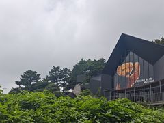 -朝安泰迪熊博物馆
