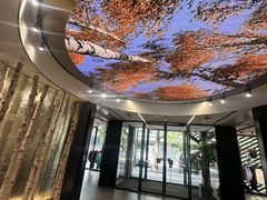 -ARC'TERYX始祖鸟(北京王府中环店)