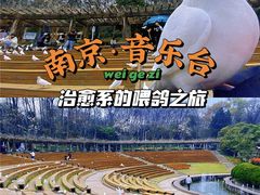 -音乐台