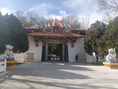 -罗布林卡