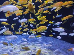 -成都浩海立方海洋公园