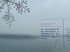 -琴岛之星摩天轮