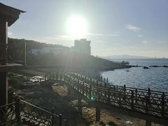 -海岛日记(养马岛店)