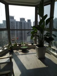 -一个差评成就的纹眉店