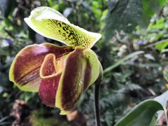 -深圳国际园林花卉博览园