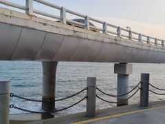 -演武大桥观景平台