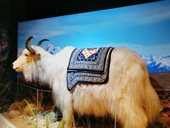 -正佳自然科学博物馆