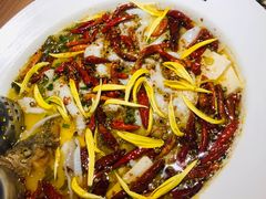 -太二酸菜鱼(沈阳万象城店)