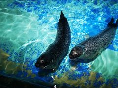 -太平洋海底世界