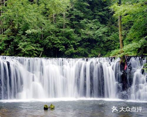 吊水壶国家森林公园图片