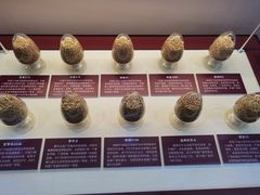 -中国农业博物馆