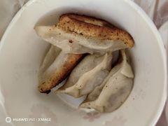 -洋洋锅贴