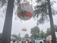 -东湖落雁景区