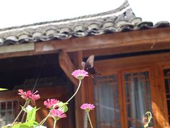 -和福餐馆(西江古街店)