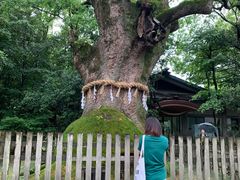 -热田神宫