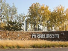 -东郊湿地公园