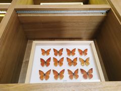 -艾溪湖湿地公园