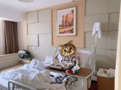 -上海艾儿贝佳妇产科医院