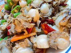 威海蛤蜊-崴海渔村(虹梅路店)