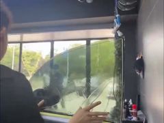 -车艺尚上海龙膜隐形车衣汽车贴膜旗舰店