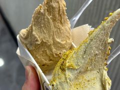 -野人先生现做冰淇淋(西安赛格店)
