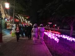 -三亚红色娘子军演艺公园景区