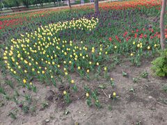 -长春公园(普阳街道)