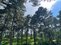 -承德避暑山庄景区