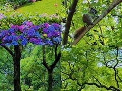 -杭州植物园