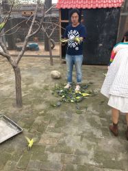 -上美四季动物农场