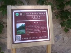 -北京上方山国家森林公园