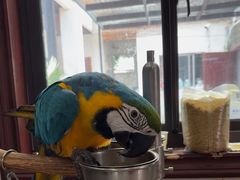 -观桥阁(锦溪店)