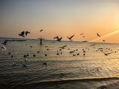 -老虎石海上公园