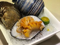赤贝刺身-羽寿司(东方宝泰店)