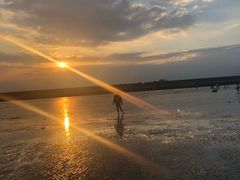 -南汇嘴观海公园