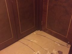 -成都天府丽都喜来登饭店