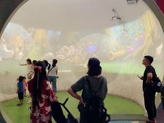 游乐设施-浙江省科技馆