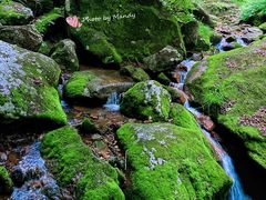 -五女峰国家森林公园