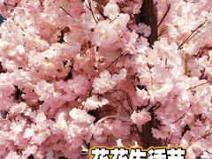 -金茂览秀城