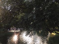 -晓港公园