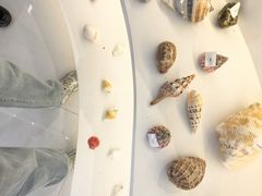 -仙螺岛海鲜自助餐厅(总店)