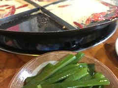 海白菜-独雅老火锅(原宏声巷店)