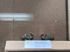 -烟台市博物馆