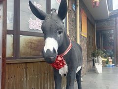 -乔家小院•非遗驴肉•本地小海鲜(滨河路店)