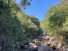 -广州白江湖森林公园