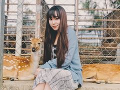 -鹿境梅花鹿生态园区