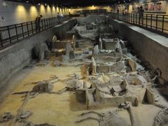 -洛阳周王城天子驾六博物馆