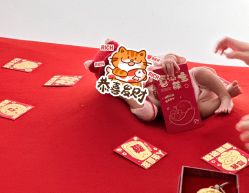 -玛瑞莎孕婴童摄影到家拍